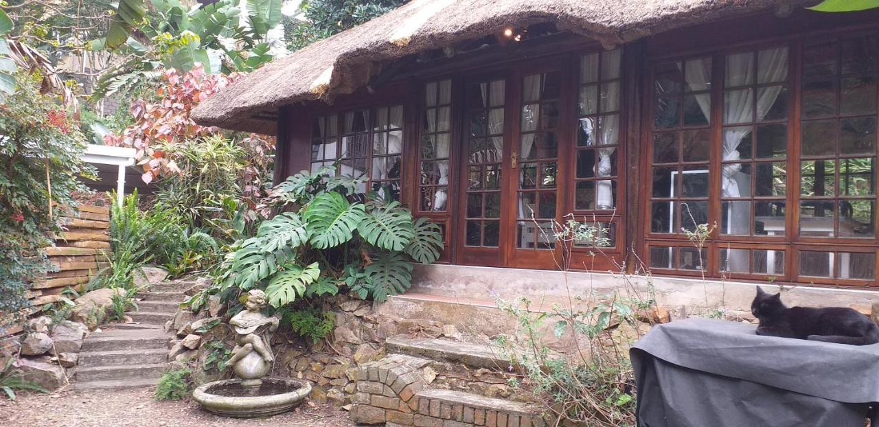 Bed and Breakfast Thrush Nest Durban Pinetown Exterior foto